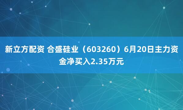 新立方配资 合盛硅业（603260）6月20日主力资金净买入2.35万元
