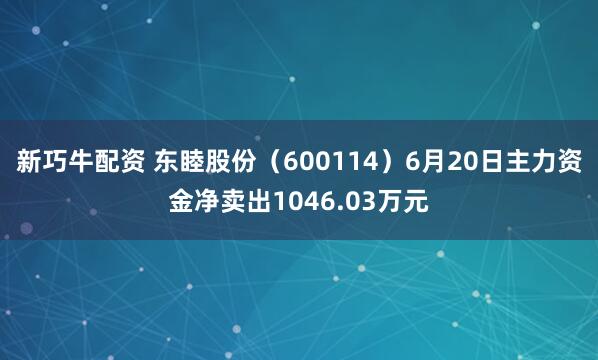 新巧牛配资 东睦股份（600114）6月20日主力资金净卖出1046.03万元
