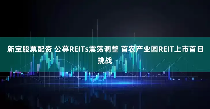 新宝股票配资 公募REITs震荡调整 首农产业园REIT上市首日挑战